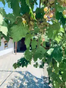 Островок - 3