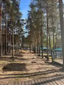 Беседки на Коркинском озере - 37