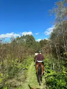 Бородино - 76