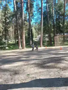 Золотой колос - 4