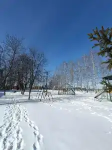 Дубравушка - 41