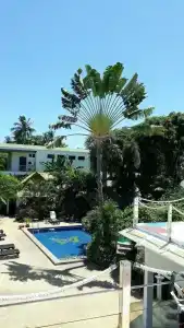 Papillon Resort - 18