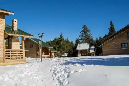 Uludag Orman Koskleri - 55