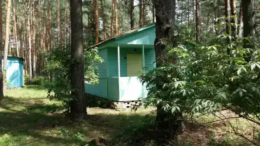 Волна - 80