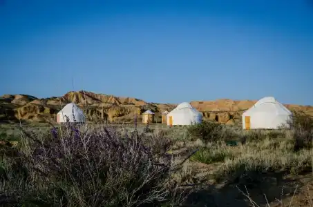 Feel Nomad Yurt Camp - 34