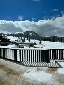 Ambassadori Goderdzi - 25