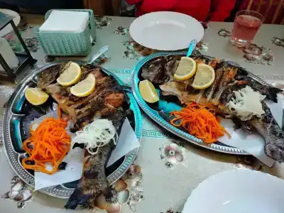 Зона отдыха Озерный - 60