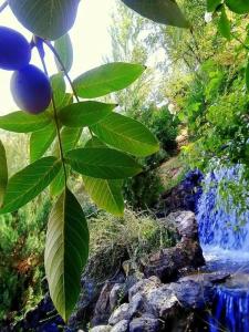 Park Avenue Yerevan - 24