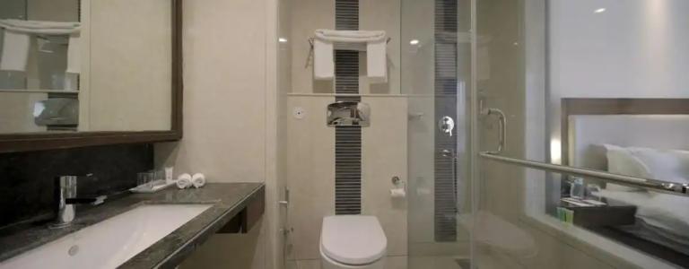 Regenta Central Jal Mahal, Jaipur - 43