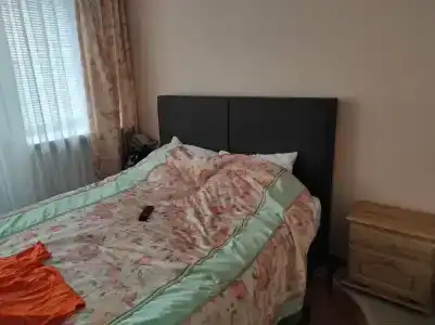 Беловежская пуща. №2 - 32