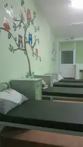 Звёздочка - 10