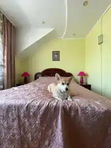 ВИП отель - 15