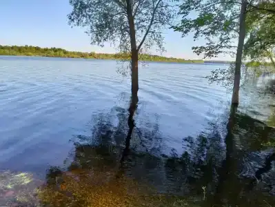 Русич - 20