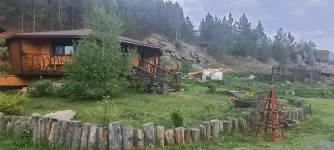 Тайга - 81