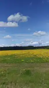 База Сокол, озеро Глубокое - 18