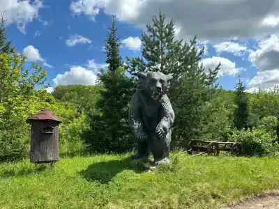 Медвежий угол - 12