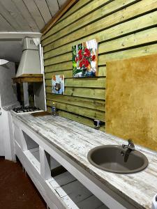 Kinglet - 35