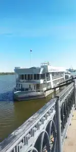Астра - 11