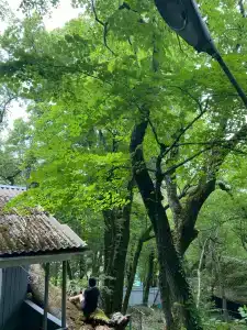 Затерянный рай - 31