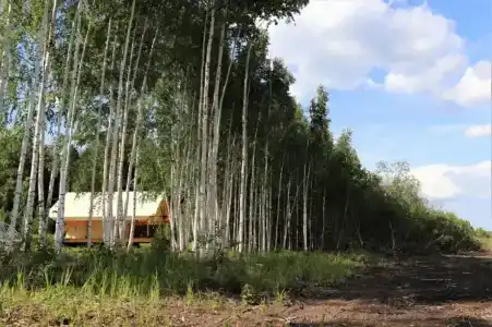 Марьина Роща - 67