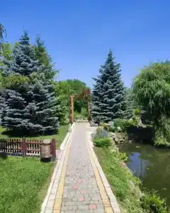 Зеленый Яр - 2