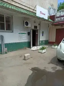 Пони - 11