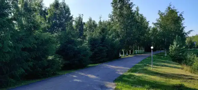 Черные камни - 72