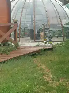 Dacha BaikalEco - 96