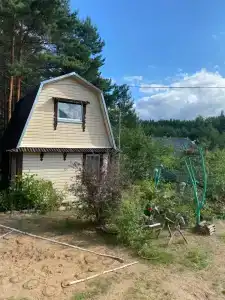 Гнездо аиста - 30