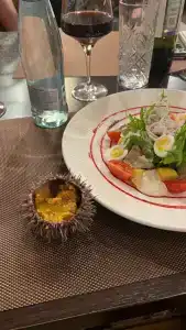 Северная - 95