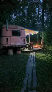 Автобус в лесу - 40