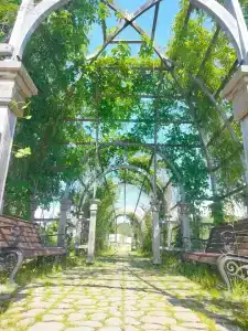 Ладожская Усадьба - 28