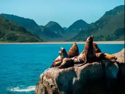 Вилла Позитив - 34