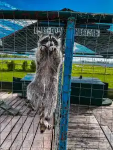 Александровский спас - 39