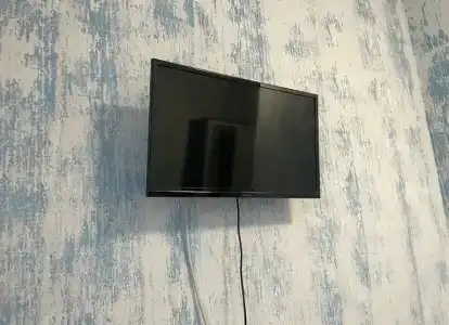 Аист - 23