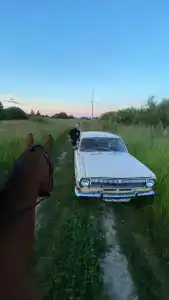 Бородино - 27