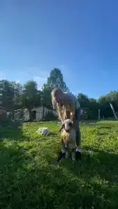 Бородино - 36