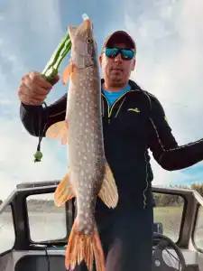 Соколино - 51