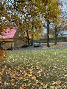 Дубрава - 1