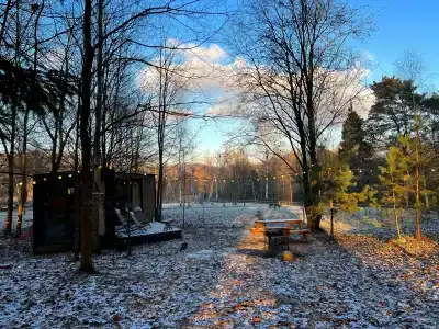 Лесной Привал - 41