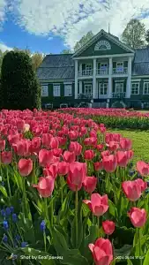 Пушкиногорье - 22