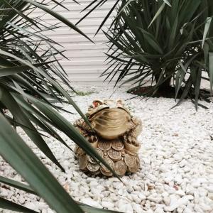 Пекинский дворик - 22