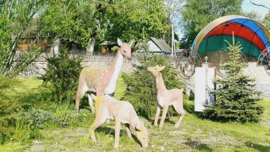 Николаевские Пруды - 9