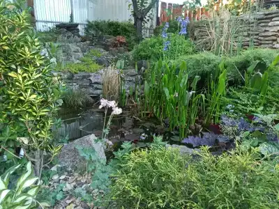 Горный родник - 34