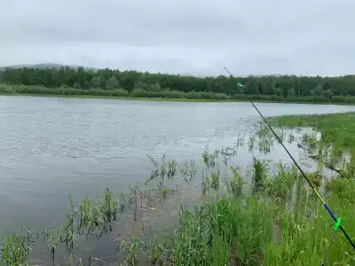 Зелёный остров - 19