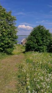 Гостевой дом - 38