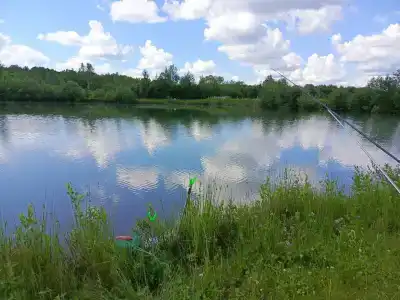 Сендега - 4