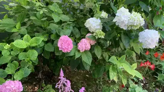 Частный дом на Терешковой 25 - 9