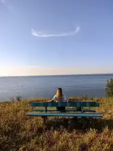 Гвоздика - 20