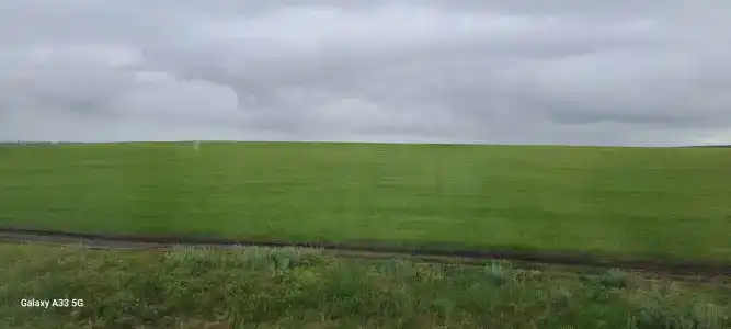 Сафар - 15